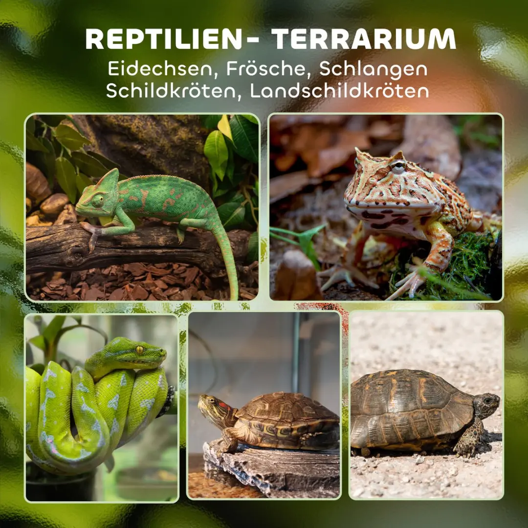 Pawhut Reptielenbox 30x30x30cm - Zwart