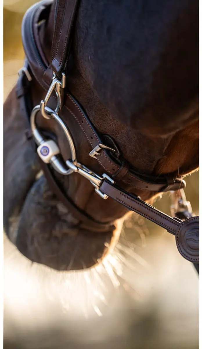 Trust Tranings Hoofdstel Hamburg Bruin - Full