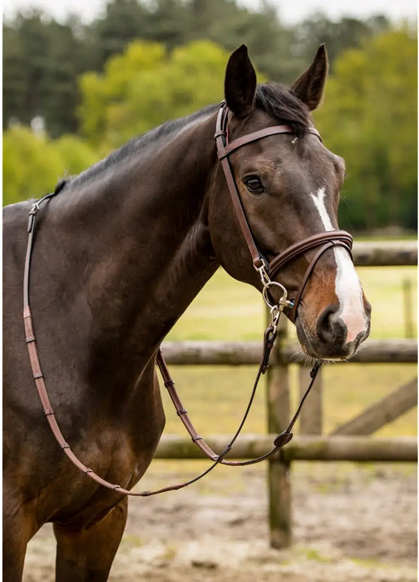 Trust Tranings Hoofdstel Hamburg Bruin - Full