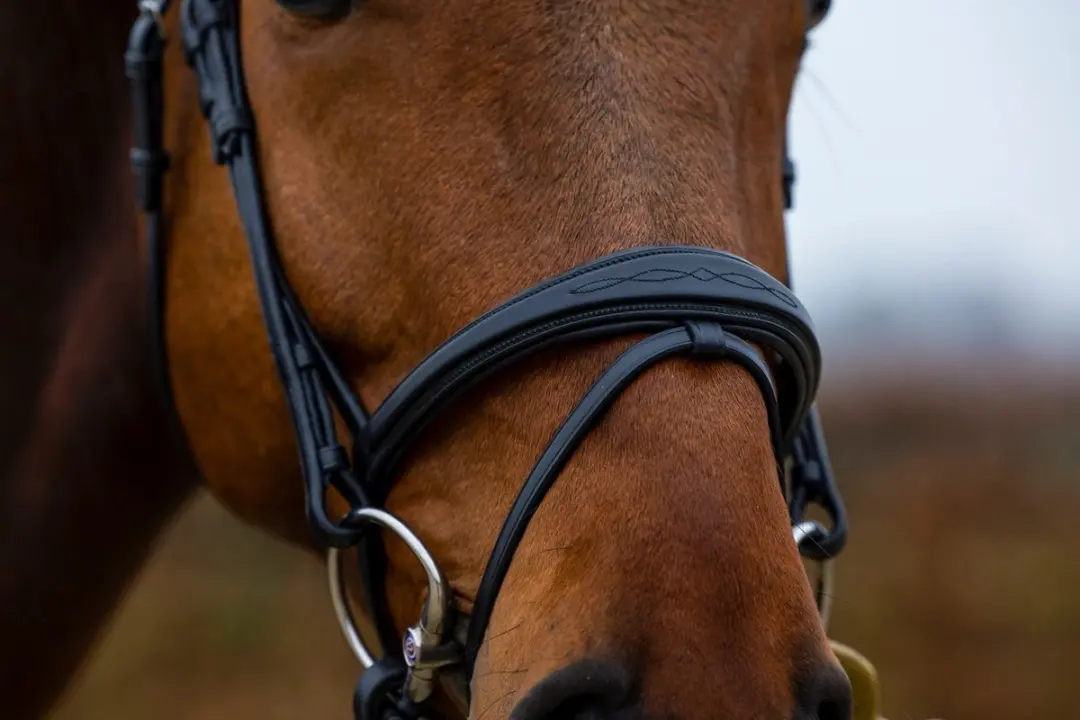 Trust Amsterdam Noseband Hoofdstel - Cob - Bruin/Goud