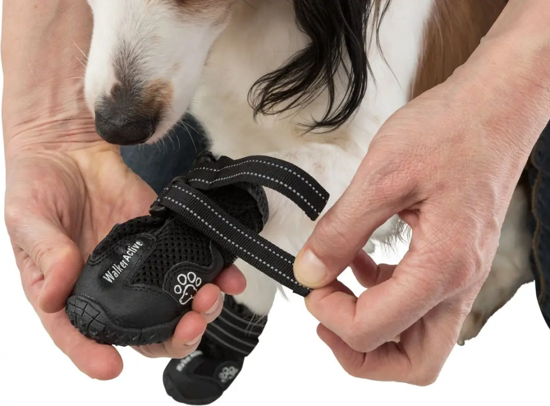 Trixie Walker Active Hondenschoenen L/XL - Zwart