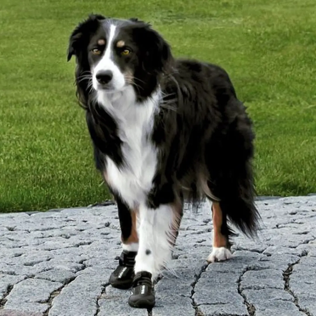 Trixie Walker Active Hondenschoenen L/XL - Zwart - afbeelding 6 van 6