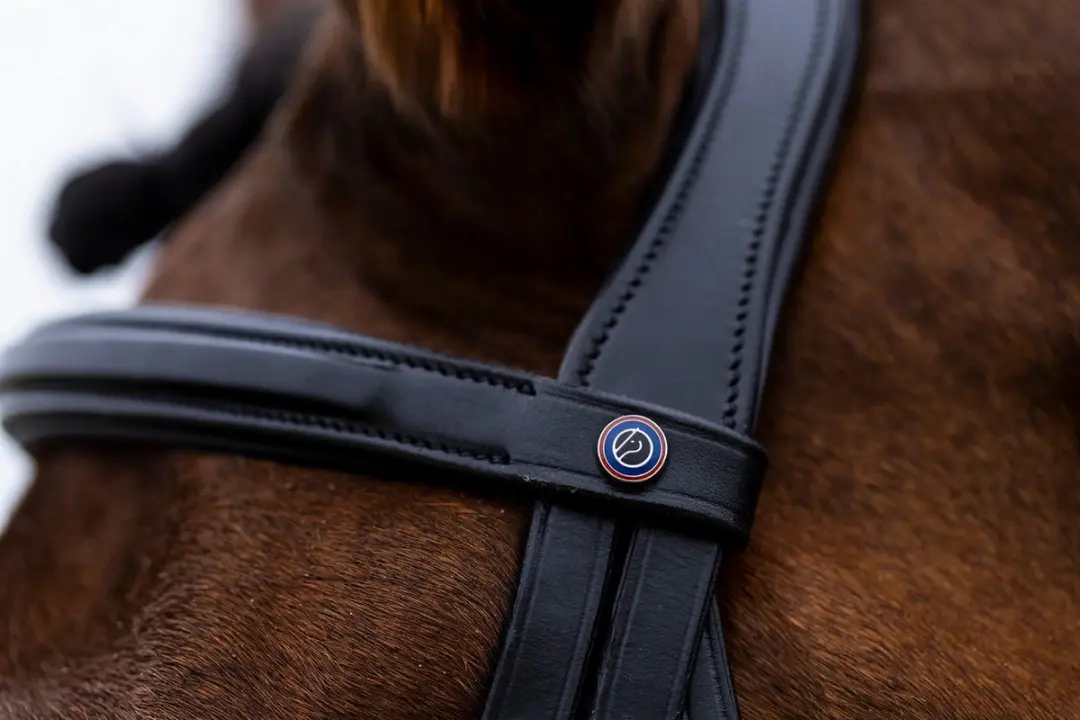 Trust Amsterdam Anatomic Hoofdstel - Cob - Black/Silver