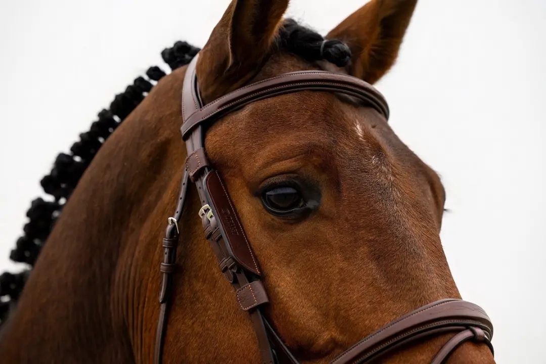 Trust Blinkers Brown