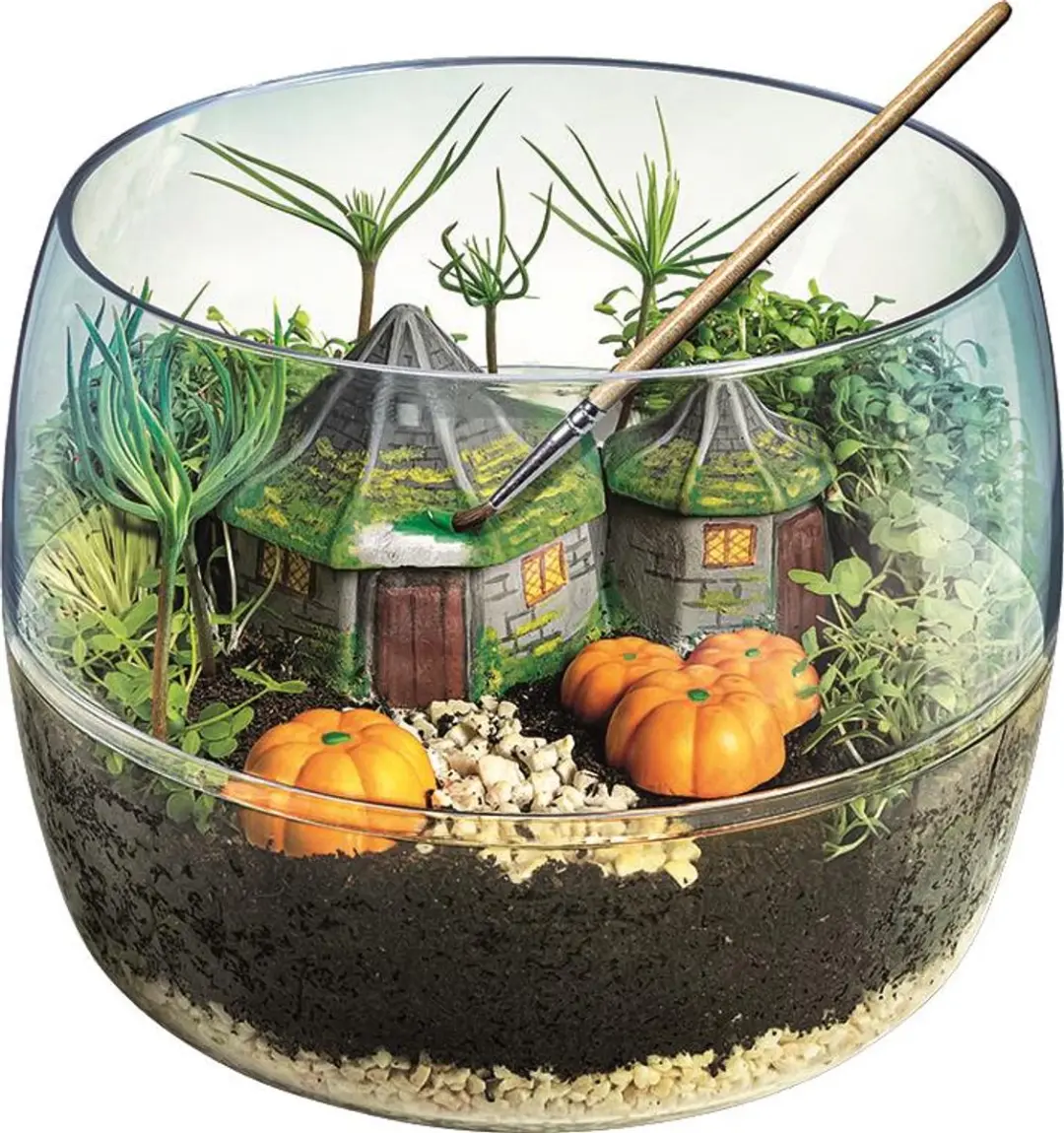 Harry Potter Hagrid Hut Terrarium - Bouwset