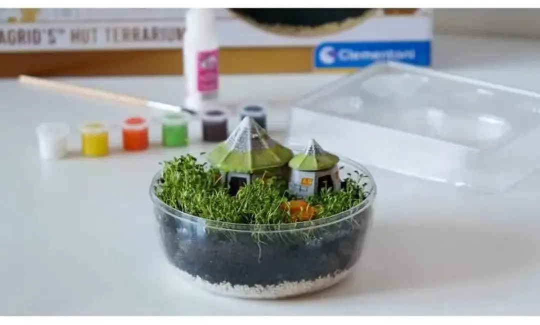 Harry Potter Hagrid Hut Terrarium - Bouwset