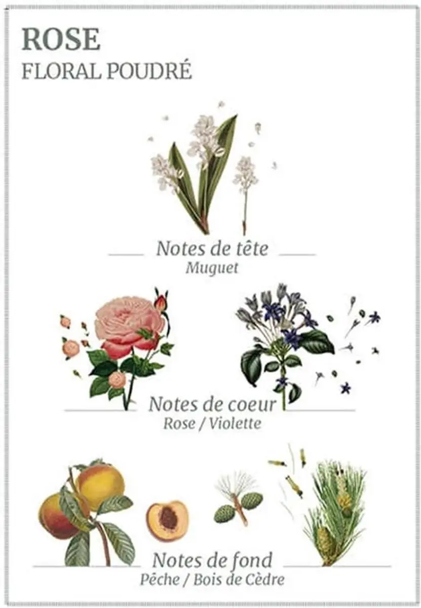 Panier des Sens Rose Handcrème 30ml