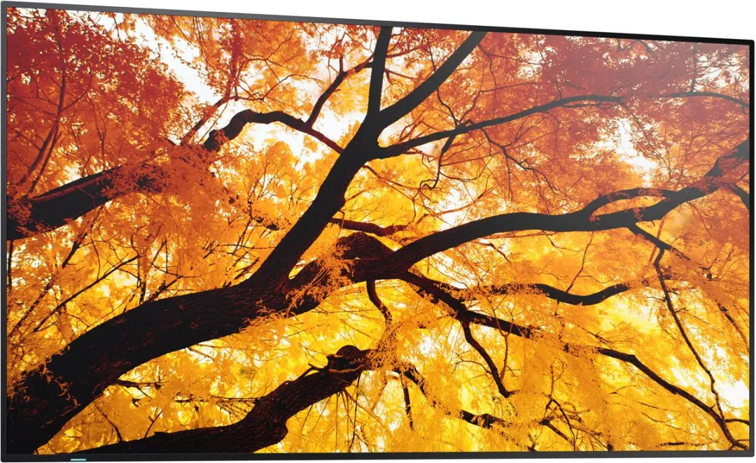 Sharp MultiSync M552 PNM552 Digitale Signage 55" LCD - 4K Ultra HD - Touchscreen - Zwart