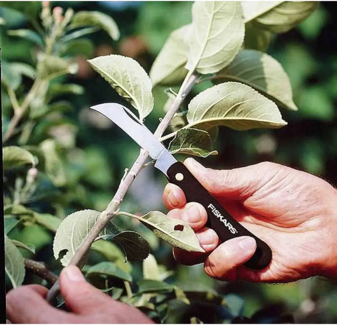 Fiskars K62 Bloemenmes - RVS - 4 Stuks - afbeelding 5 van 6