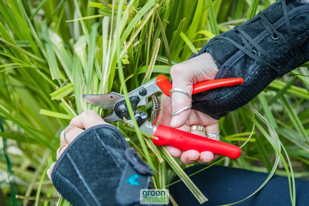 Felco 15 Ergonomische Snoeischaar Handmaat S