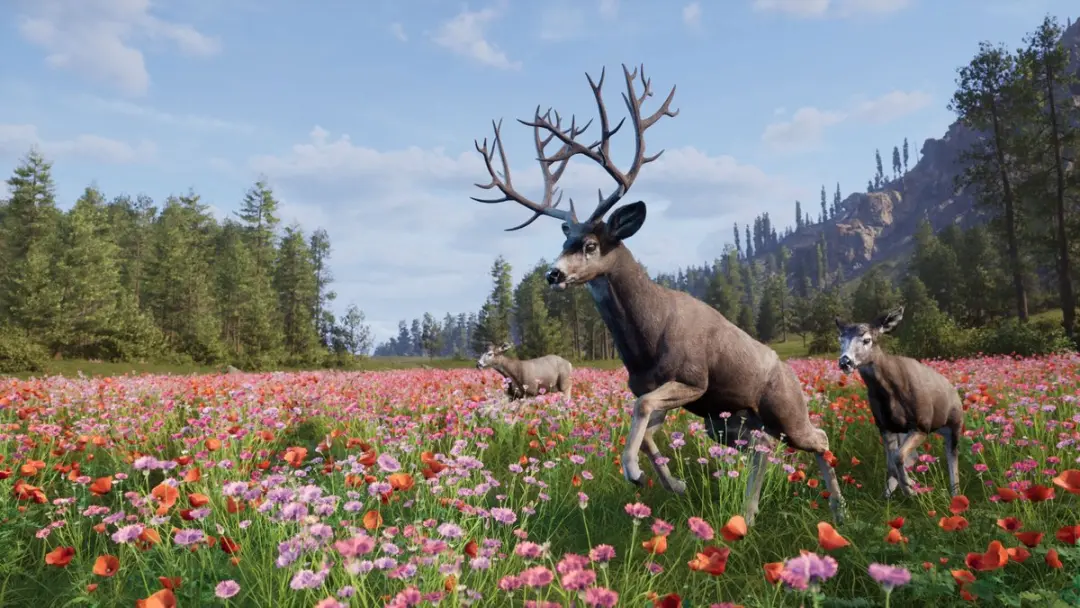 THQ Nordic Way of the Hunter 2 Deluxe Editie Xbox Series X