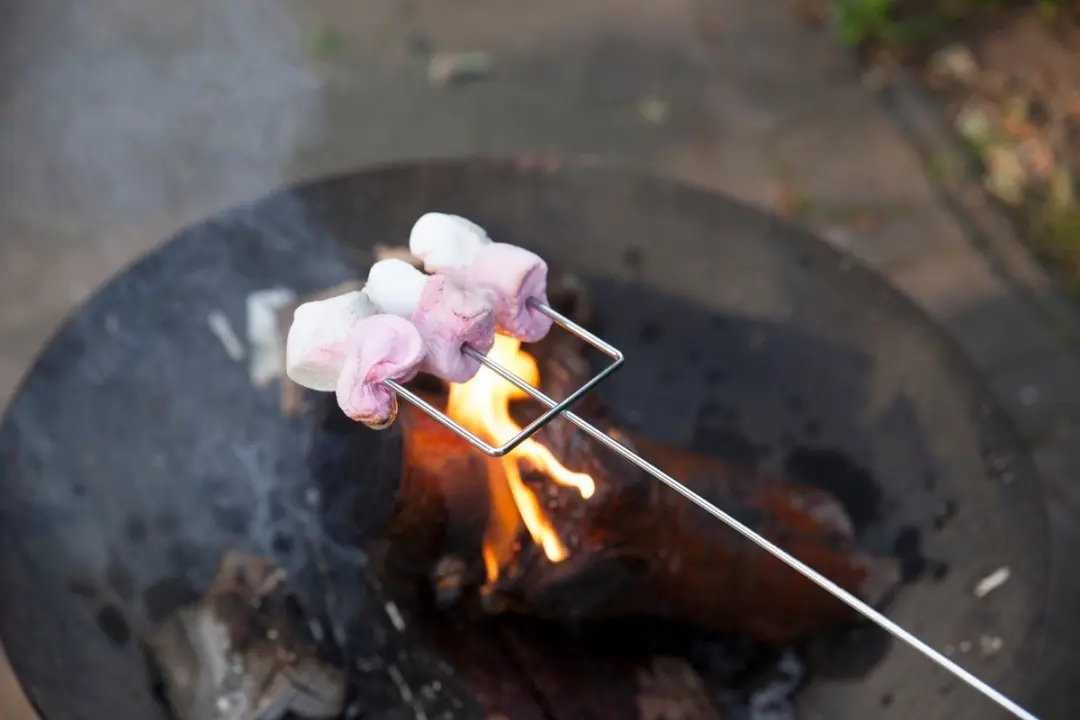 Esschert Design Marshmallow Vork FF158 - 9,2 cm - Aluminium - afbeelding 5 van 6