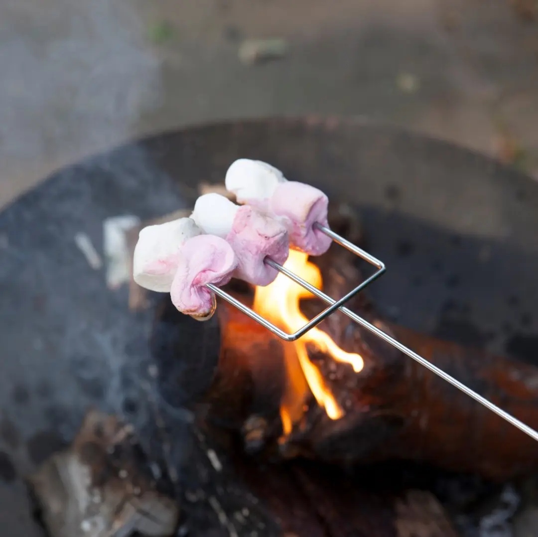 Esschert Design Marshmallow Vork FF158