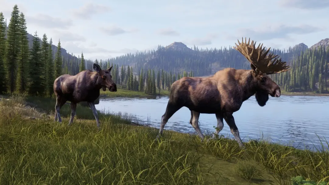 THQ Nordic Way of the Hunter 2 Deluxe Editie - PS5