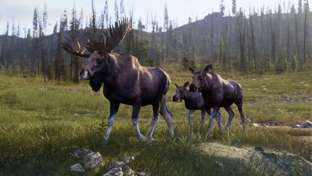 THQ Nordic Way of the Hunter 2 Deluxe Editie - PS5 - afbeelding 6 van 6