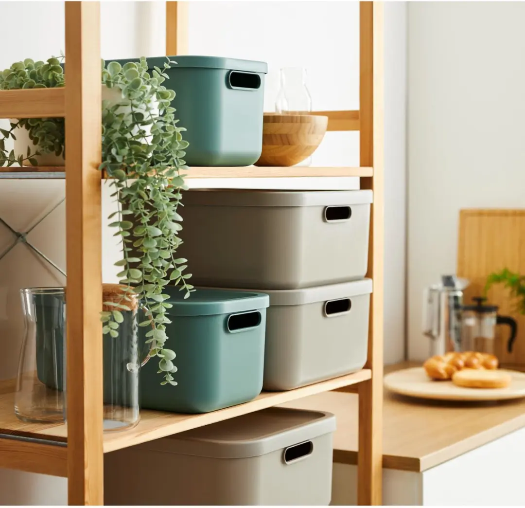 Rotho Albula Light Decoratie Opbergbox 20L - Groen