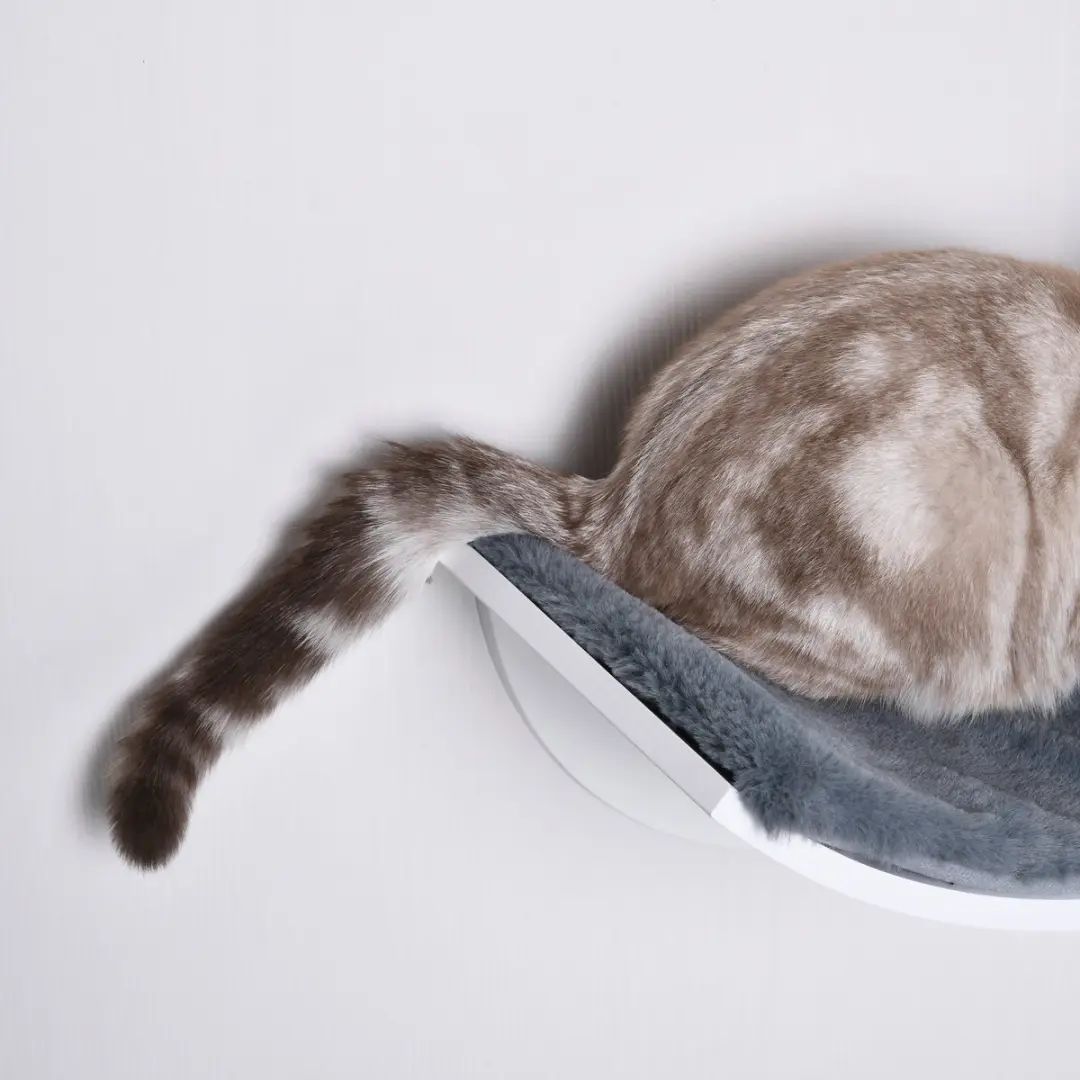 Pawhut Kattenbed D30-224 - 1 Ligplek - Wandmontage