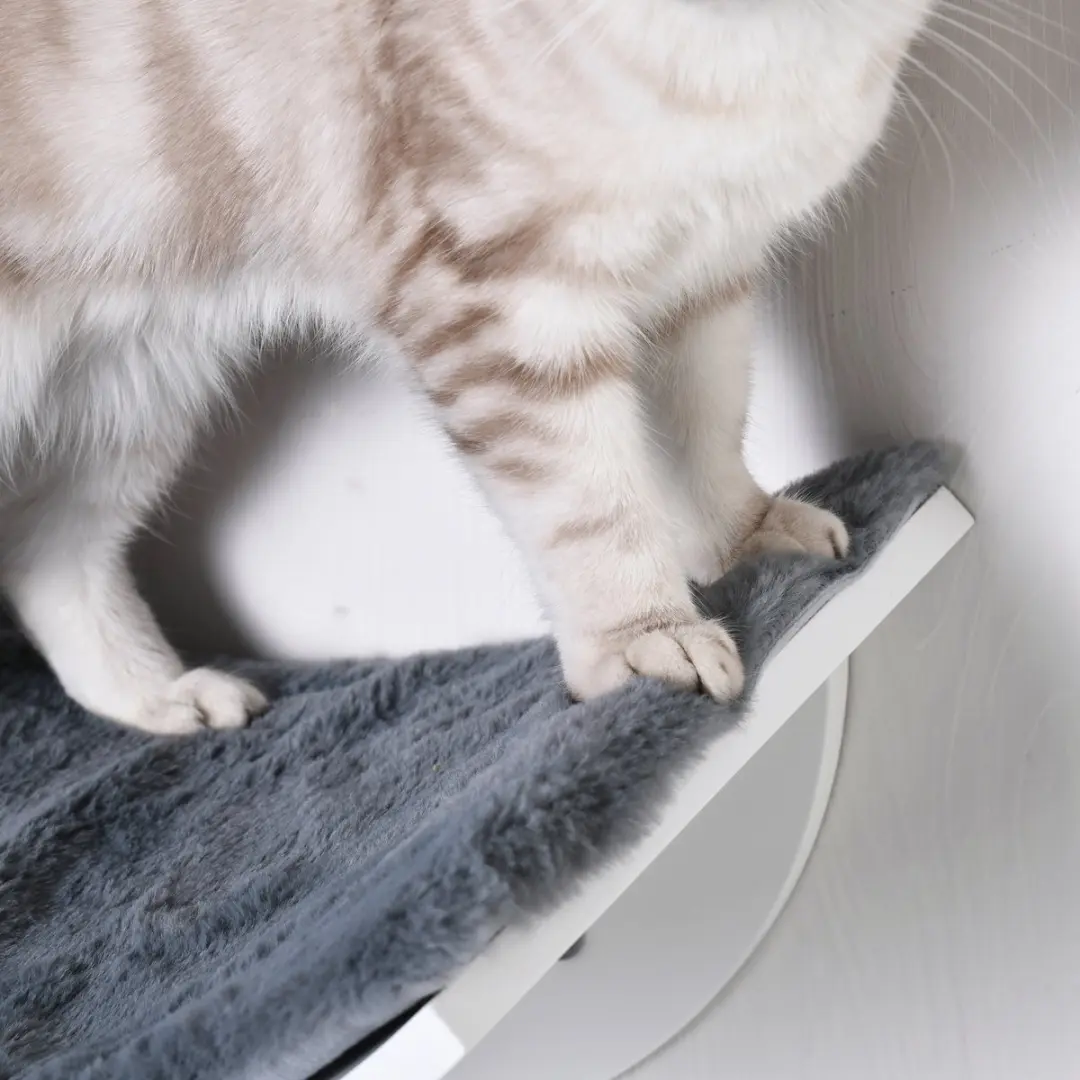 Pawhut Kattenbed D30-224 - 1 Ligplek - Wandmontage