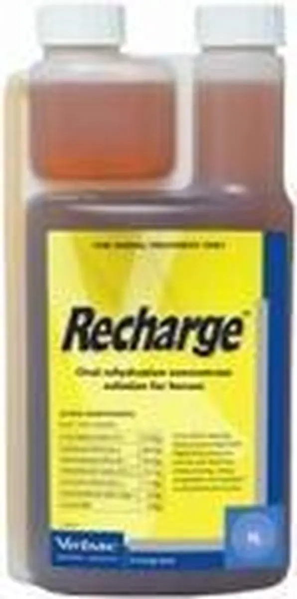 Virbac Recharge 1L