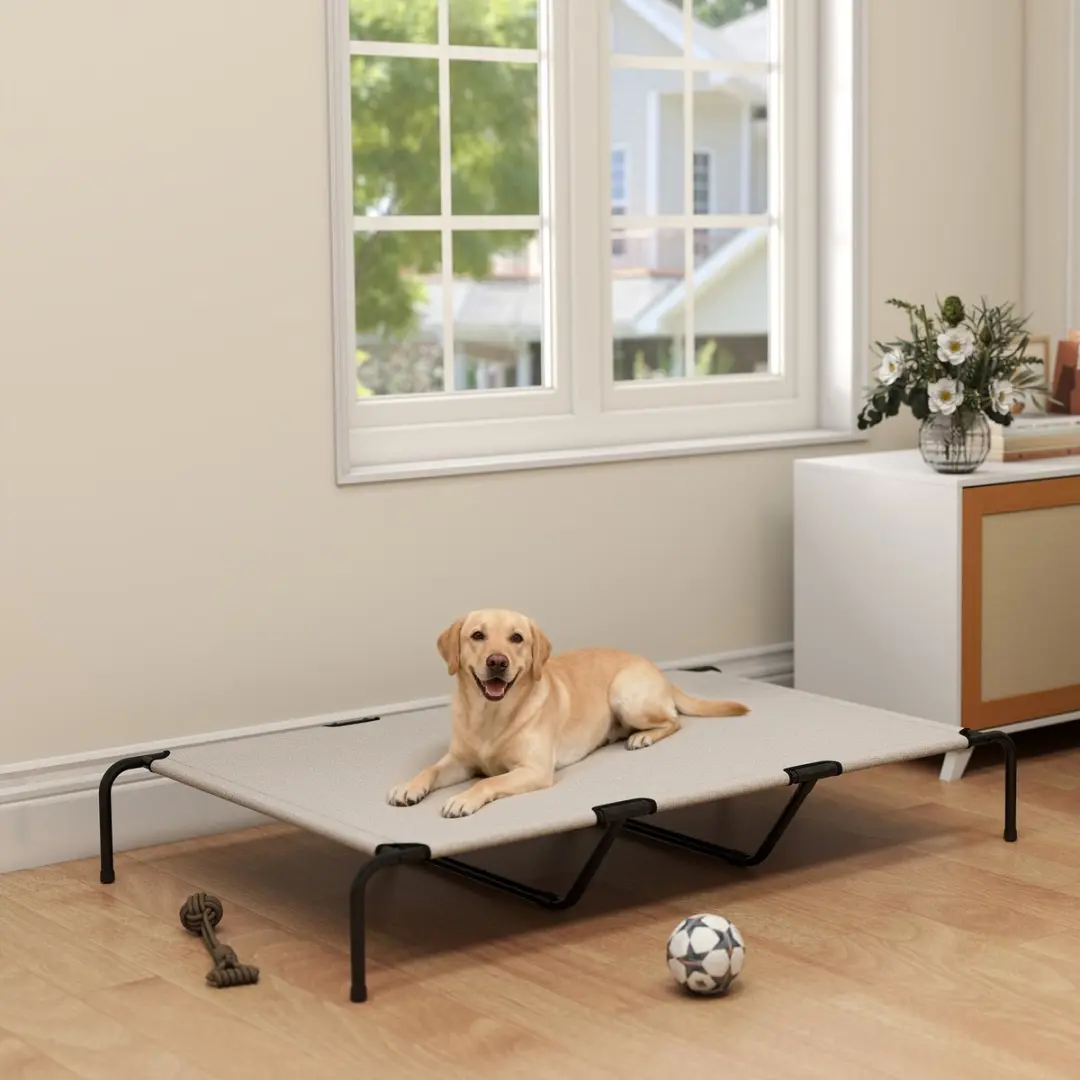 Pawhut Verhoogd Hondenbed - 152x94x23cm - Beige