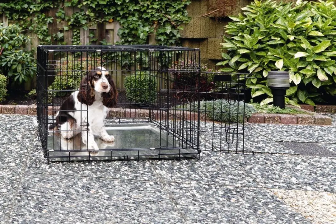 Beeztees Hondenbench XL 109x69x75cm - 2 Deuren - Zwart