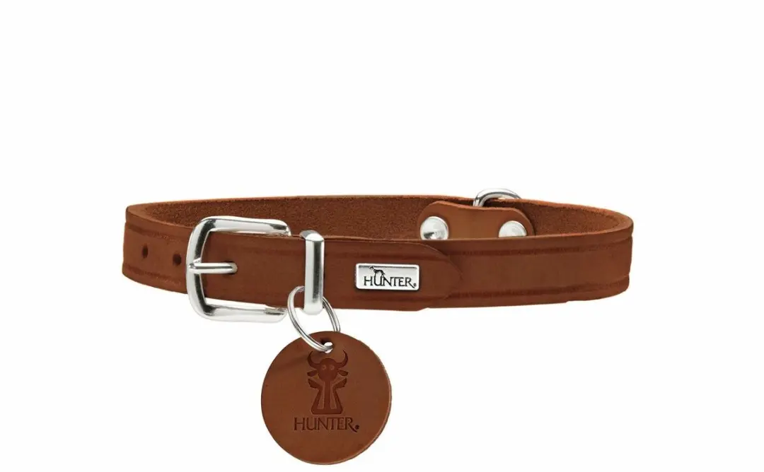 Hunter Hondenhalsband Aalborg Bruin