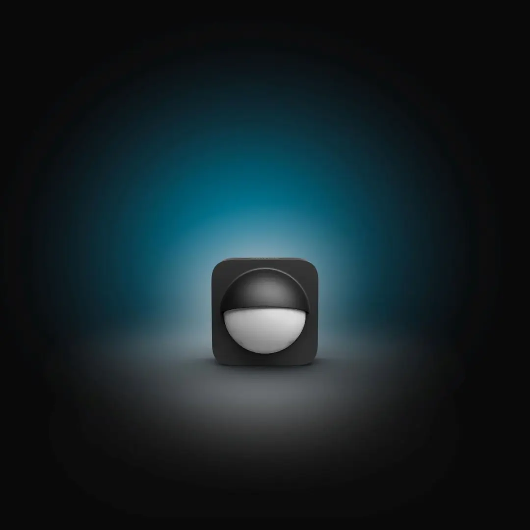 Philips Hue Outdoor Bewegingsensor - 2 Stuks - Zwart