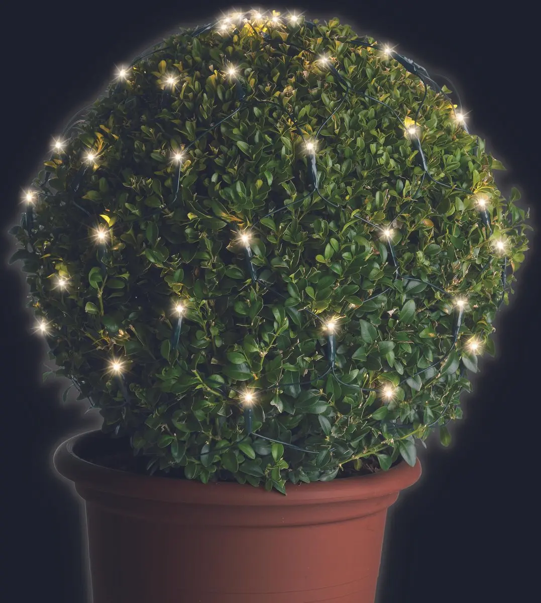 Lumineo Buxus Kerstverlichting 144 Warm Wit