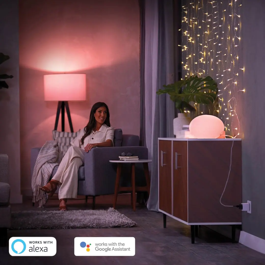 Philips Hue Smart Plug Voordeelverpakking 2 Stuks - Type F