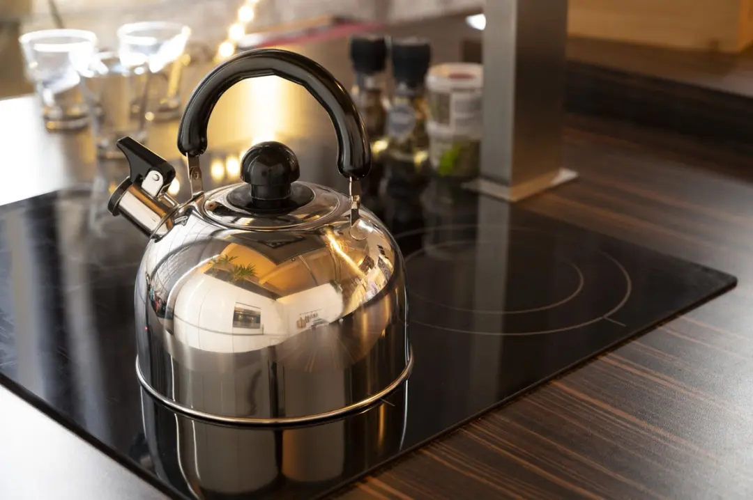 Alpina Fluitketel 1,8L - 1,8L - Zilver/Zwart