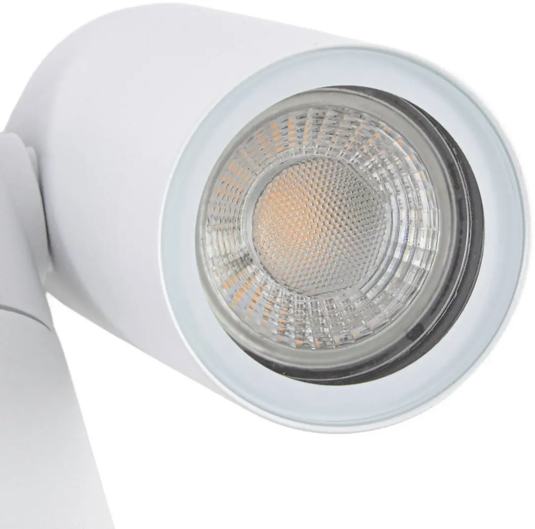 PRIOS Buitenspots 2-lichts GU10 Aluminium Glas Wit