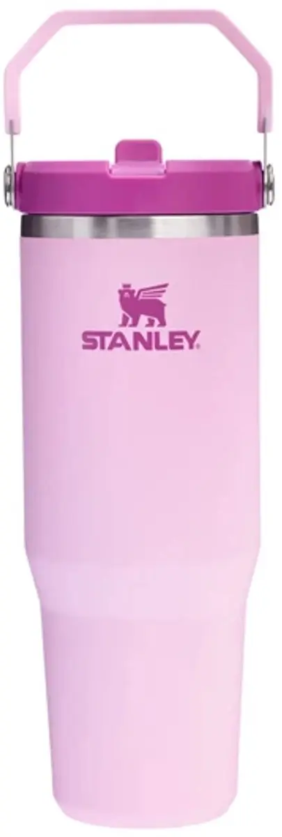 Stanley The IceFlow Flip Straw 2.0 Drinkfles 0.89L