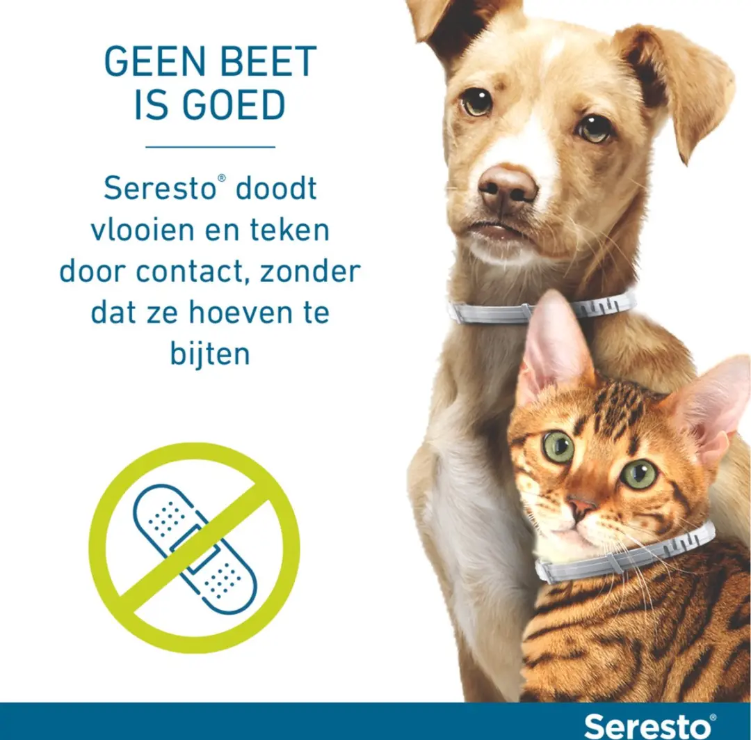 Seresto Teken- en Vlooienband Kat 38cm - afbeelding 4 van 6