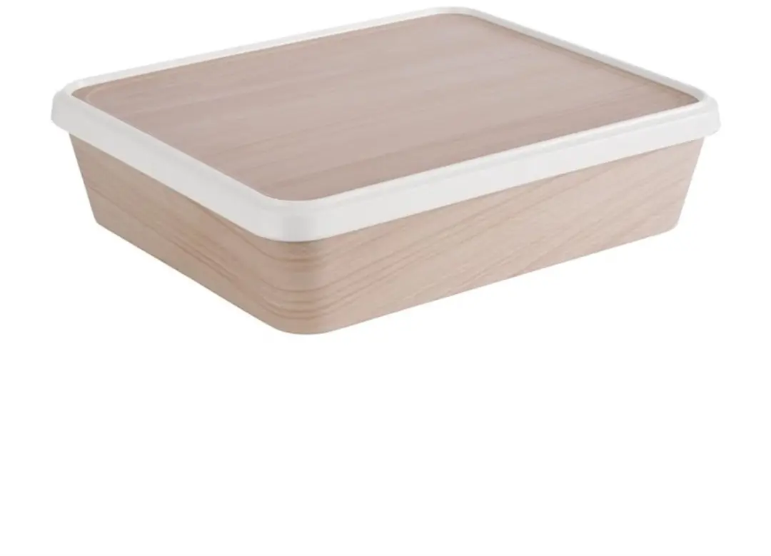 APS Bento Box 300x250mm FT235