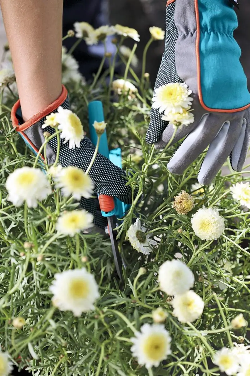 Gardena Tuinhandschoenen Maat S - Turqoise/Oranje/Grijs