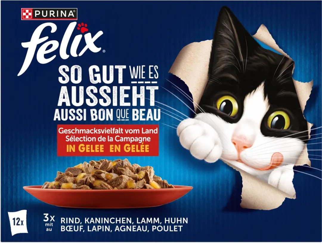 Felix Zo Lekker Nat Kattenvoer in Gelei