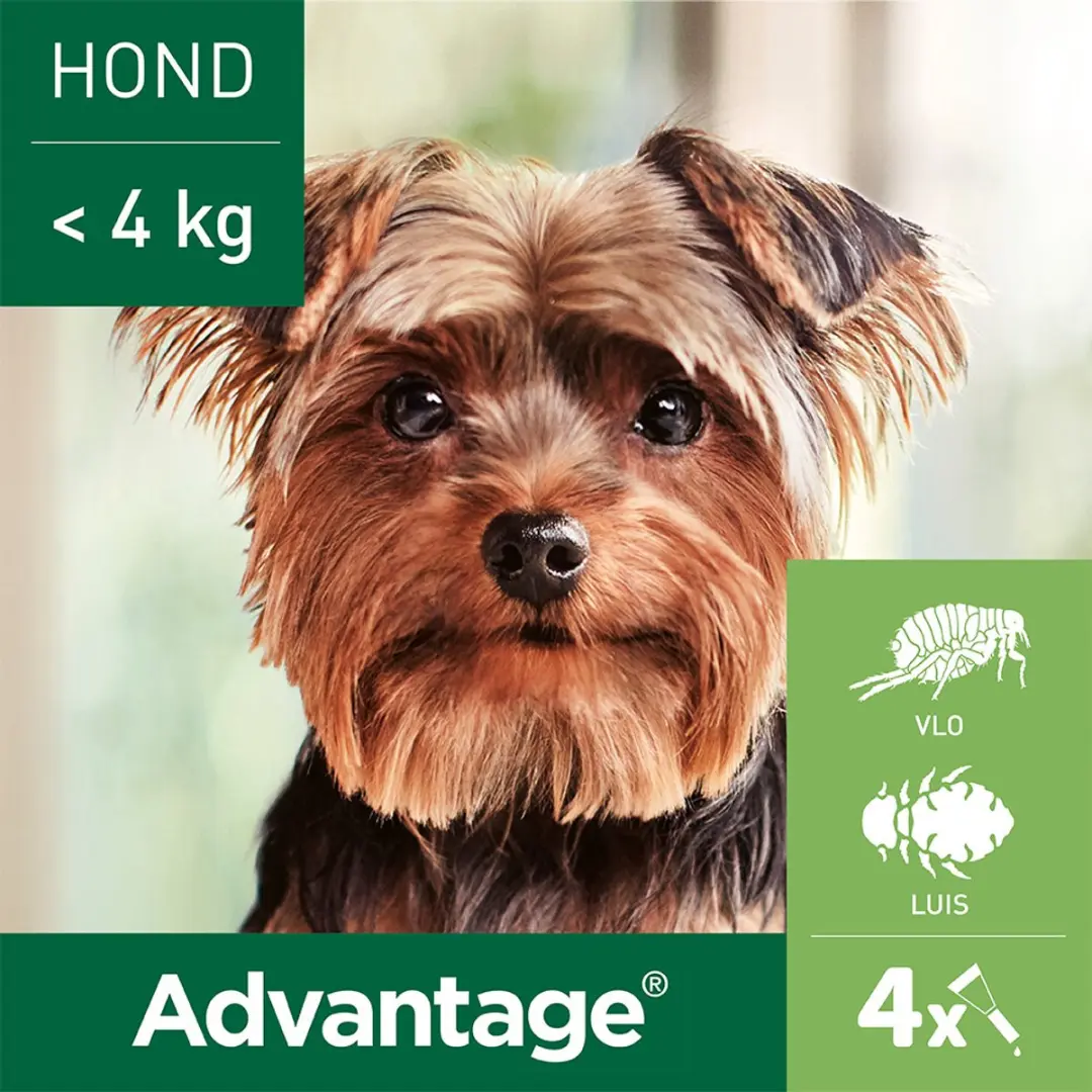 Advantage Anti Vlooiendruppels 2x4 Pipetten - 8g