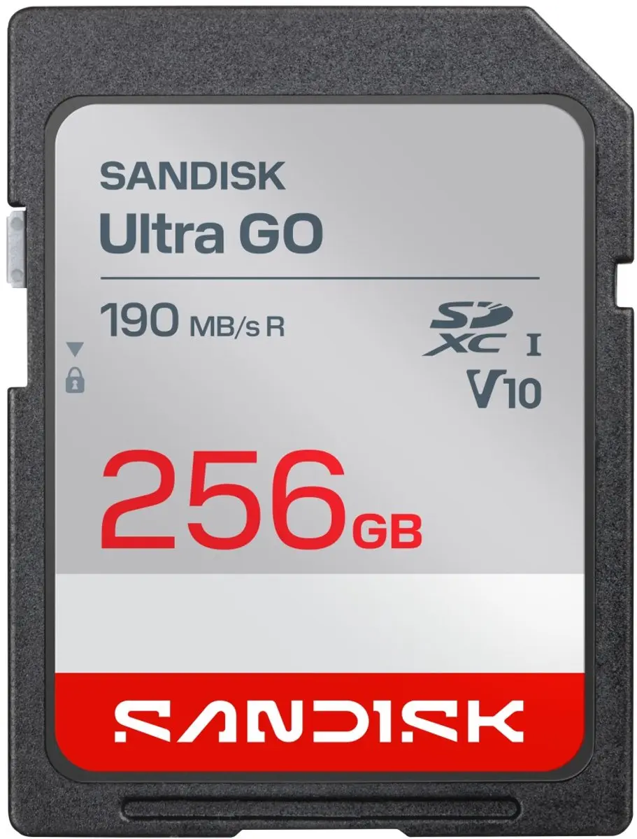 SanDisk WITHOUT NAME BE 256GB Geheugenkaart