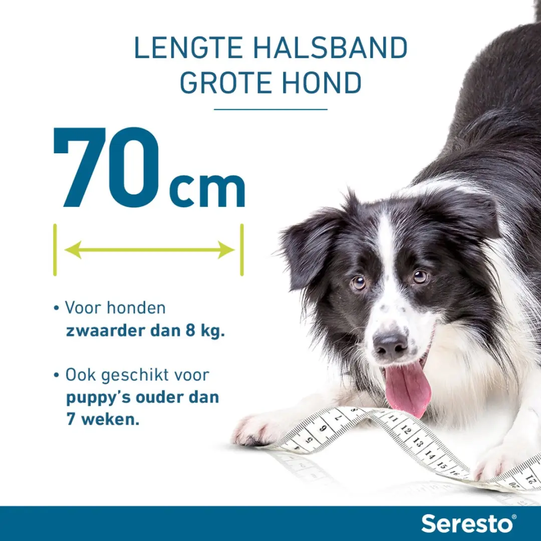 Seresto Teken- en Vlooienband Small - <8 kg