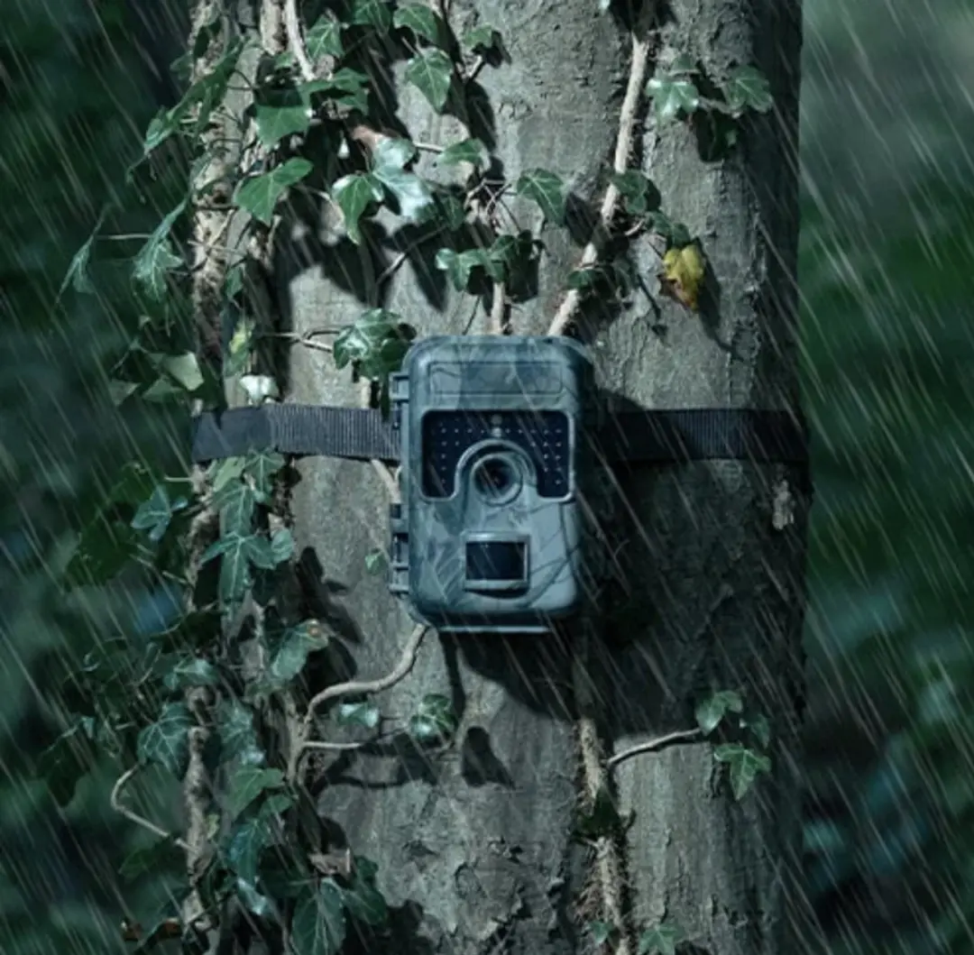 Camouflage Wildcamera SM4-PRO - 24MP Full-HD Nachtzicht - afbeelding 6 van 6