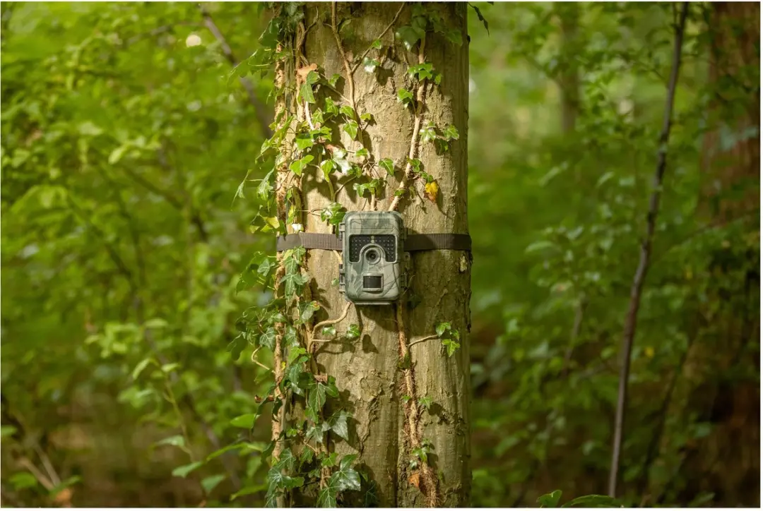 Camouflage Wildcamera SM4-PRO - 24MP Full-HD Nachtzicht - afbeelding 3 van 6