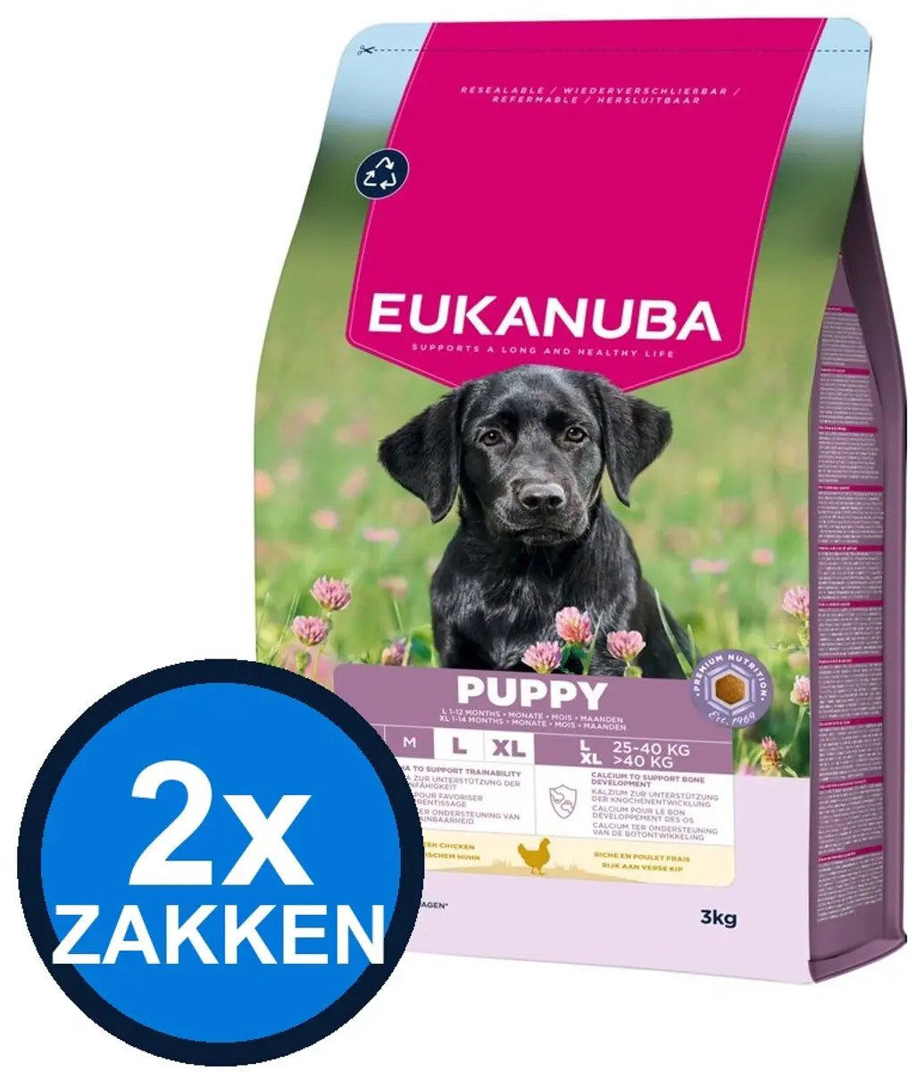 Eukanuba Puppy Large Kip Droogvoer