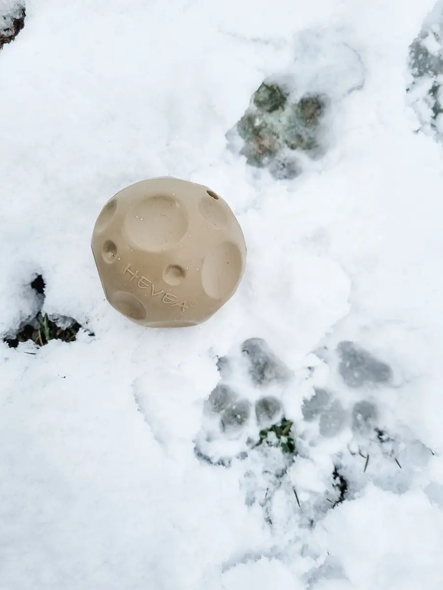 Hevea Moonball Hondenspeeltje - Hunter Green