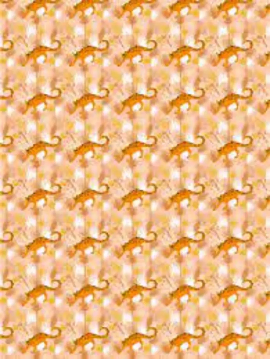Décopatch papier