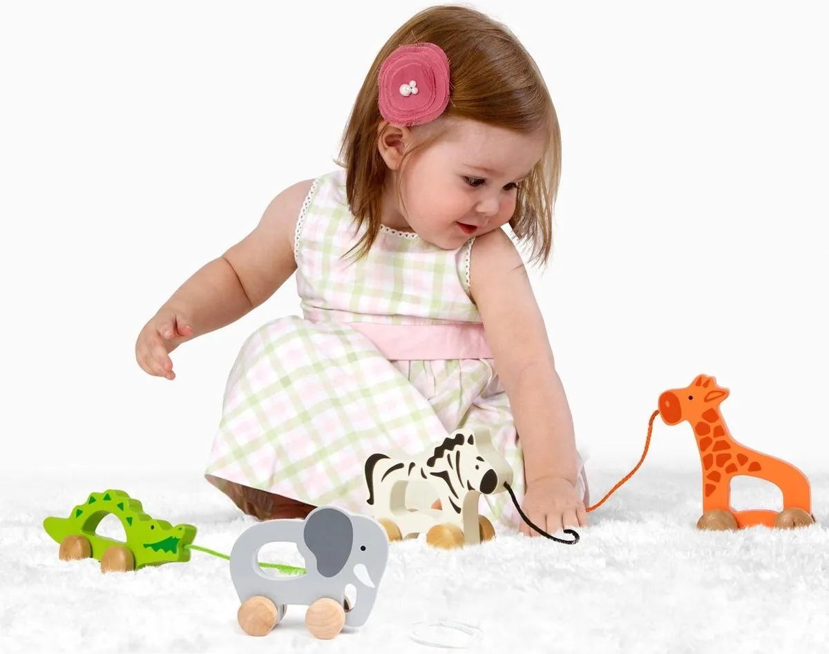 Hape Nachzieh-Elefant - 1 Stuk - Multicolor