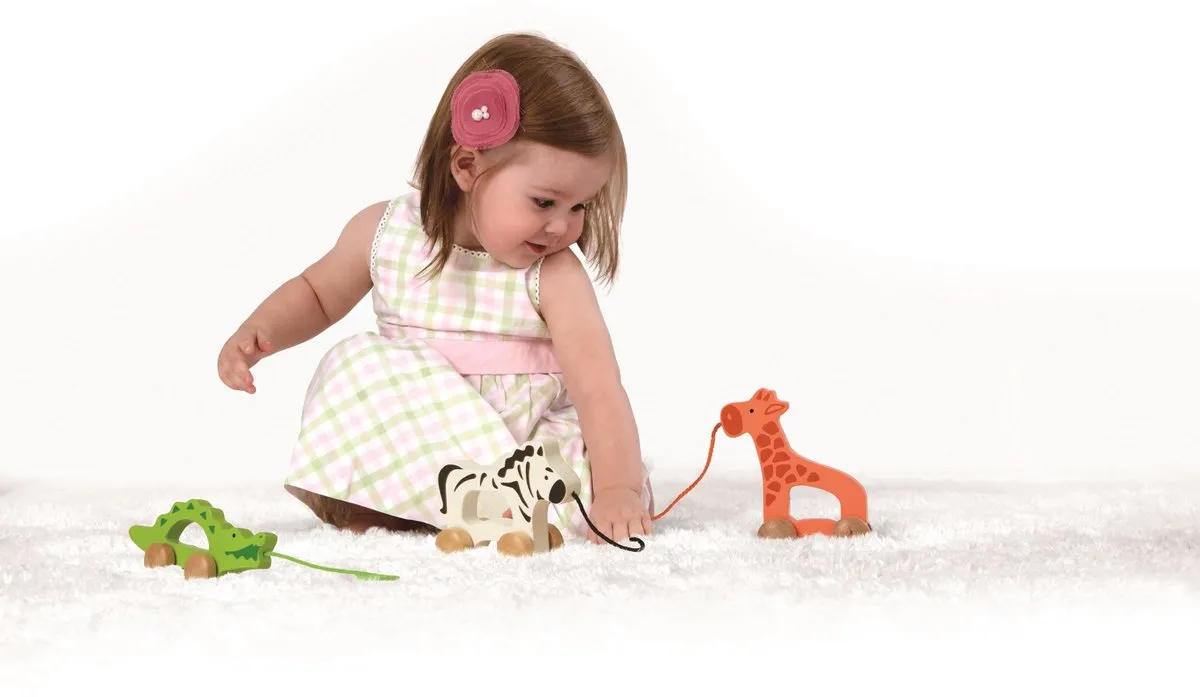 Hape Nachzieh-Elefant - 1 Stuk - Multicolor