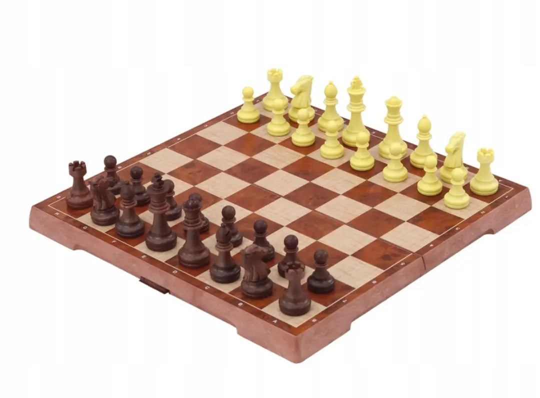 Bambino Magnetisch Schaak- en Damspel 2-in-1 Opvouwbaar