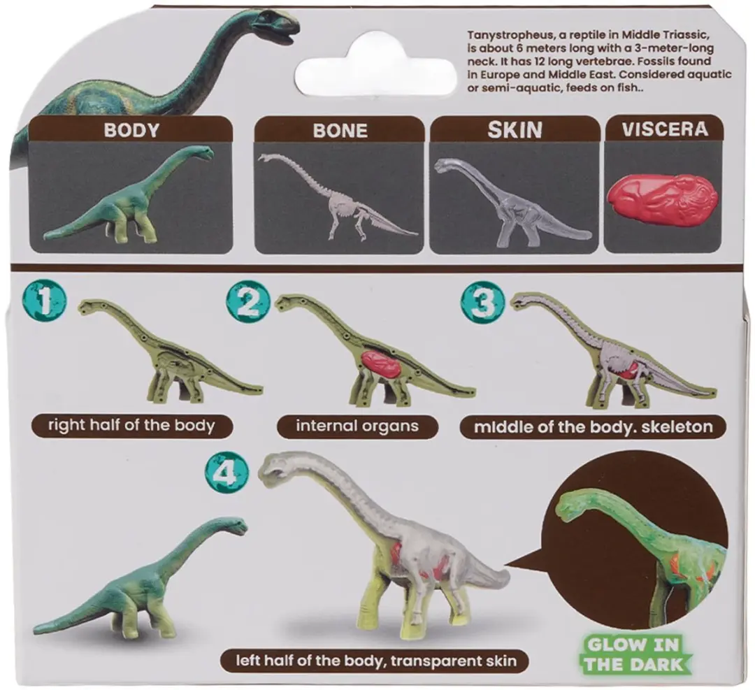 PIA Soft Toys Dino 3D Anatomie Glow-in-the-Dark Speelfiguren - 6 Stuks