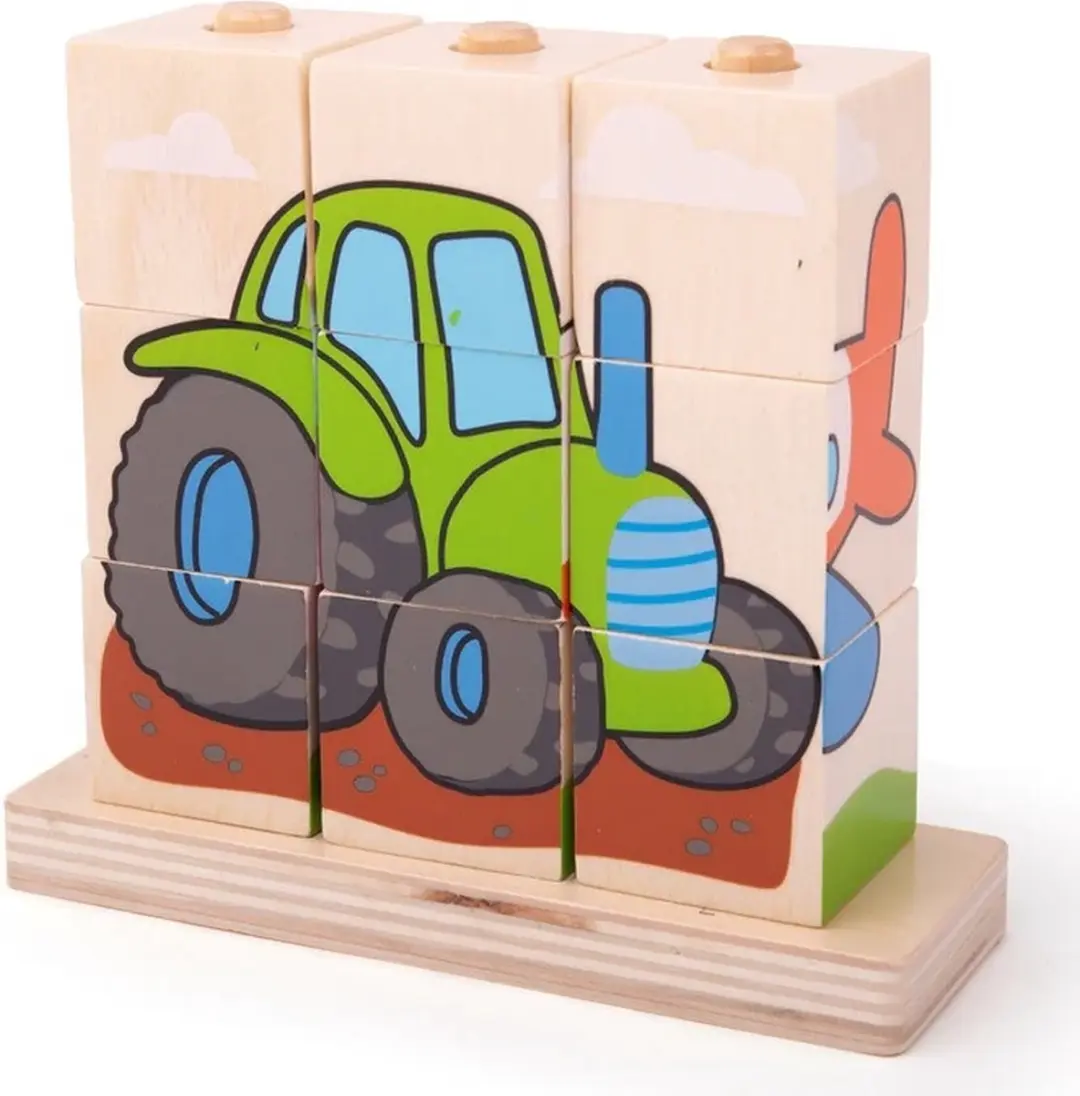 BIGJIGS BB105 Stapelblokken - Meerkleurig