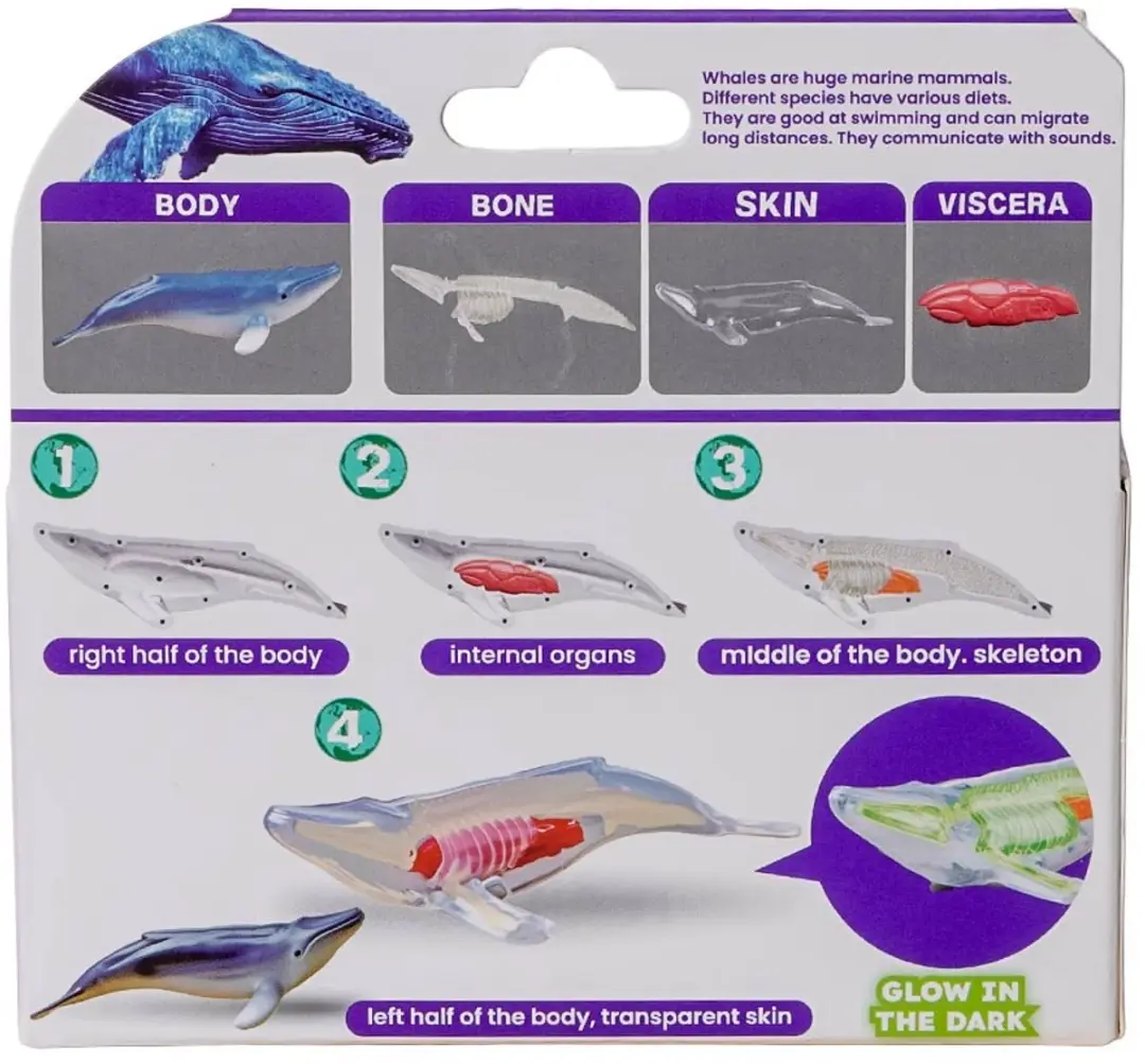 PIA Soft Toys Zeedieren 3D Anatomie Glow-in-the-Dark - 3 Stuks - Blauw/Grijs - afbeelding 6 van 6